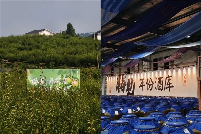 新消费下半场,一瓶酒竟靠“陪”成为年轻人刚需?