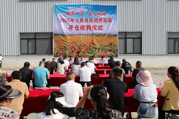 贵州毕节七星关：4．65万亩订单酒用高粱开仓收购