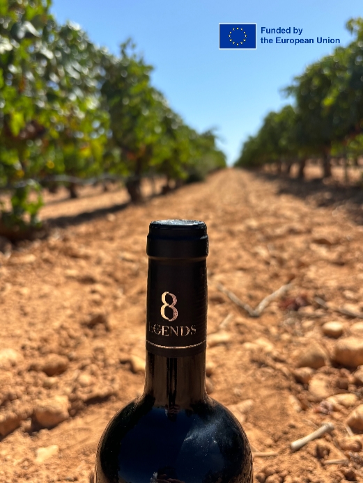 觉醒的风土：塑造