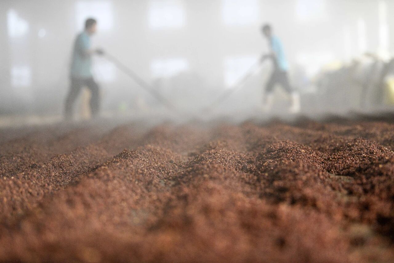 贵州首发白酒消费券，“短期刺激+长效调整”能否助力行业跨越周期？