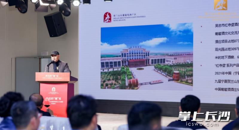 醉美“湘”见 家门口品宁夏葡萄酒