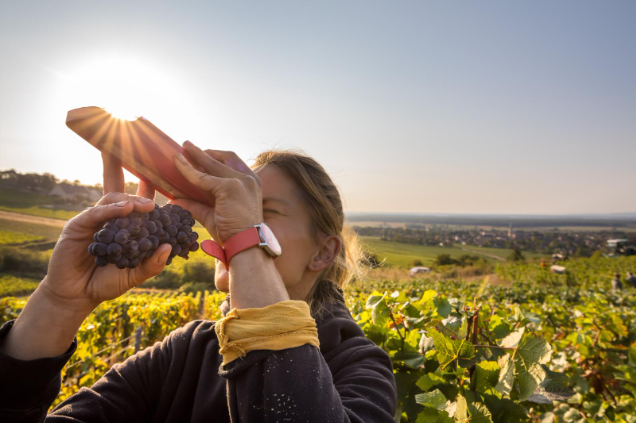 勃艮第 /Bourgogne葡萄酒重磅回归 2026 亚洲国际葡萄酒及烈酒展Vinexpo Asia