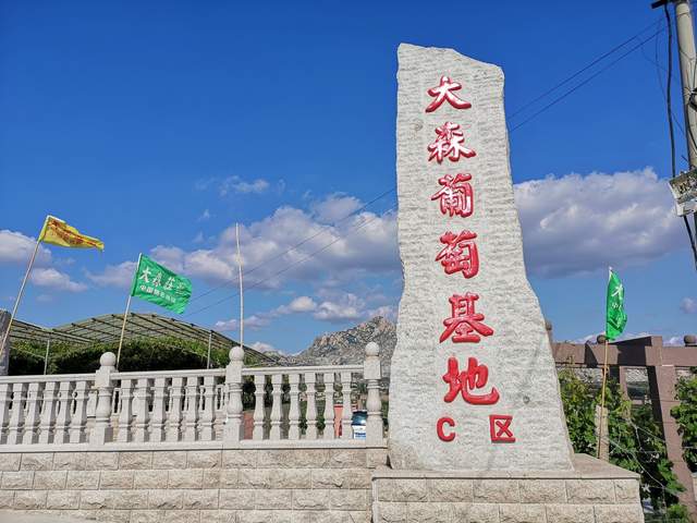 大森庄园2026采收季圆满收官，张德森三次受邀参加国庆招待会